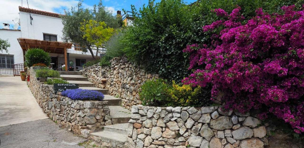 Bed and Breakfast Mas Rosich Alcover Esterno foto
